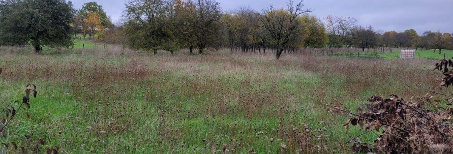 Terrain  3439 m² à vendre à Rupt-aux-Nonains (55170)