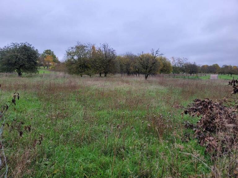 Lot de terrains constructibles et non constructibles — photo 1