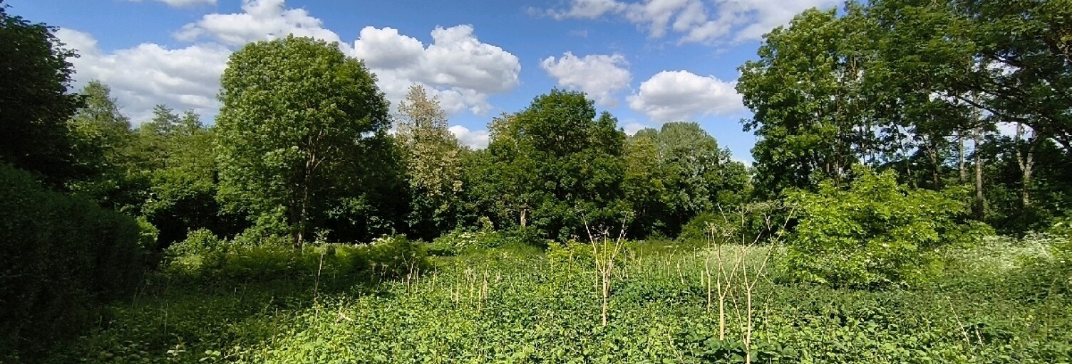 Terrain  2508 m² à vendre à Vallangoujard (95810)