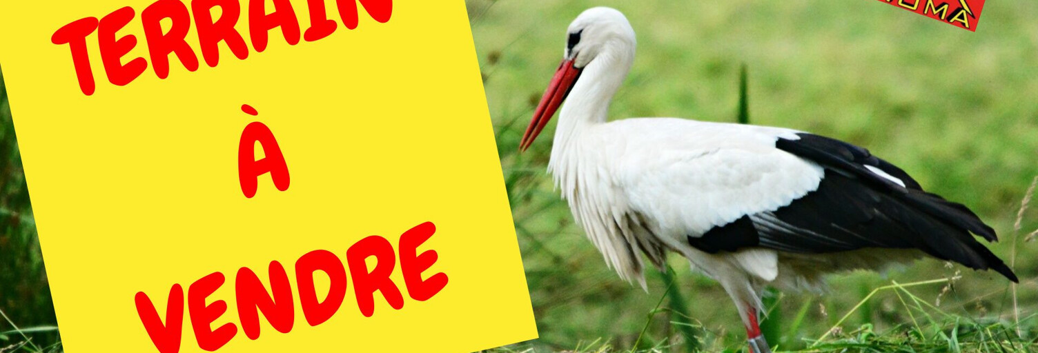 Terrain  787 m² à vendre à Berentzwiller (68130)