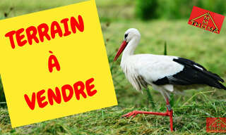 Terrain  787 m² à vendre à Berentzwiller (68130)