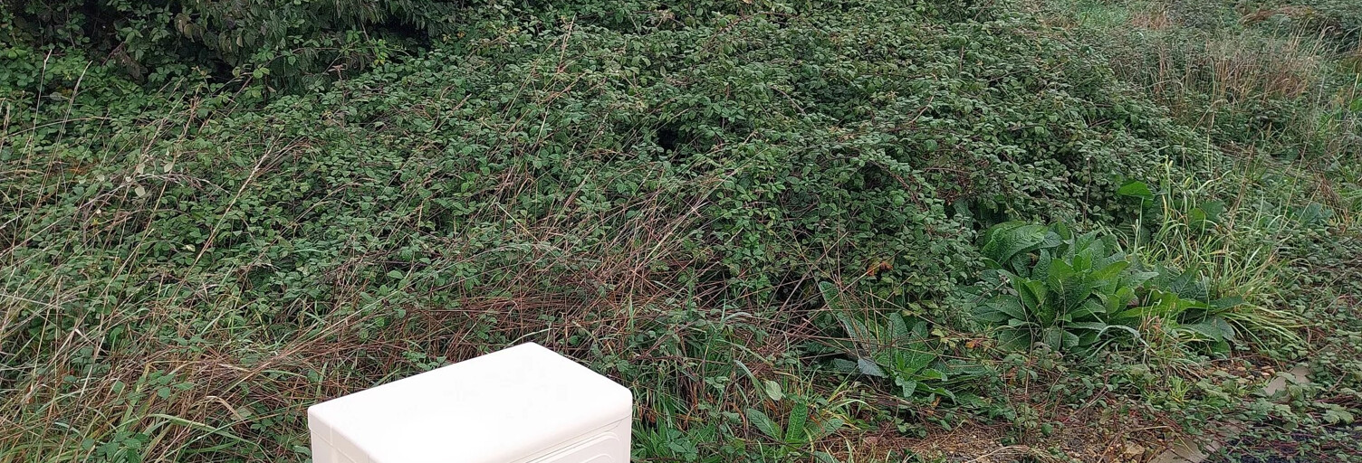 Terrain  400 m² à vendre à Sainte-Pazanne (44680)