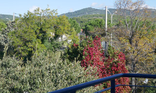 Photo N° 8