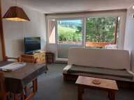 Appartement+ Cellier + Parking + Casier à skis — photo 2