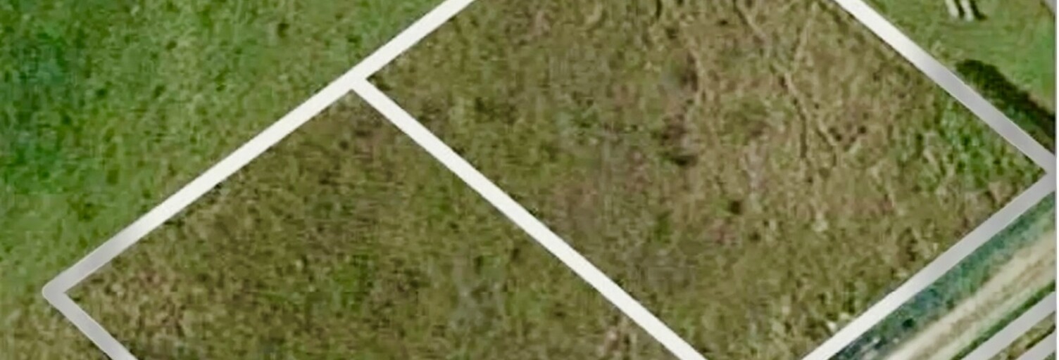 Terrain  1666 m² à vendre à Noé (89320)