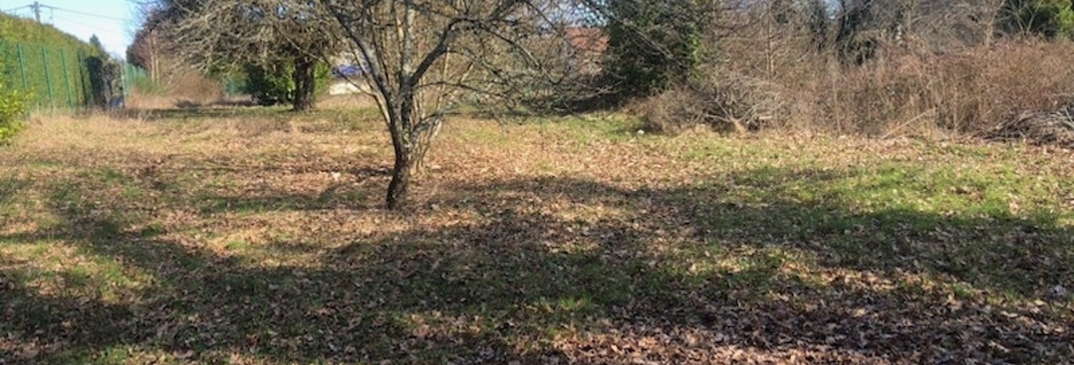 Terrain  1517 m² à vendre à Couzeix (87270)