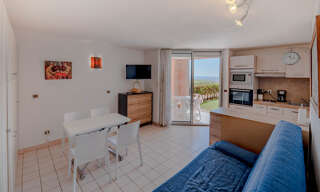 Appartement 1 Pièce 29 m² à vendre à Sète (34200)