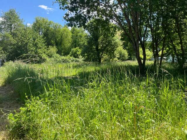 Terrain À Vendre — photo du bien