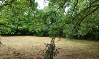 Photo N° 5