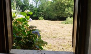 Photo N° 6