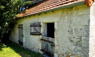 Photo N° 6