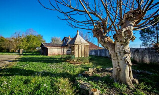 Maison 4 Pièces 105 m² à vendre à Pontonx-sur-l'Adour (40465)