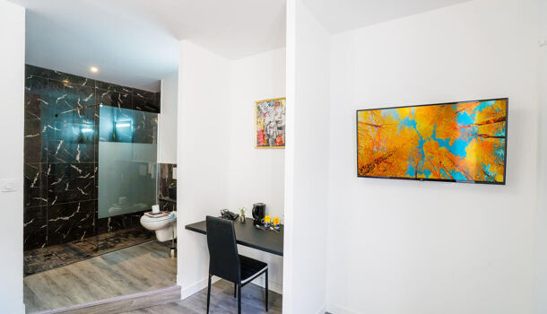 Immeuble 10 pièces  à vendre Narbonne 11100