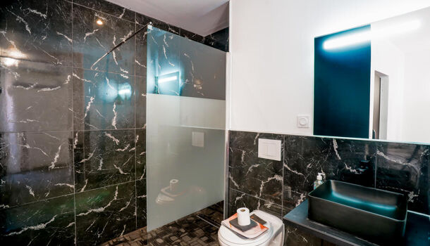 Immeuble 10 pièces  à vendre Narbonne 11100