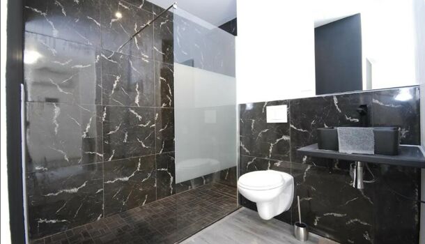 Immeuble 10 pièces  à vendre Narbonne 11100