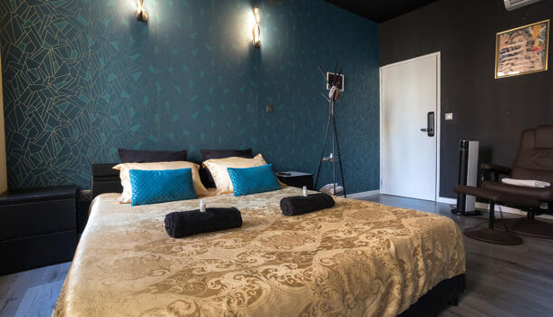 Immeuble 10 pièces  à vendre Narbonne 11100