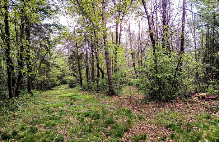 Maison et terrain — photo 4
