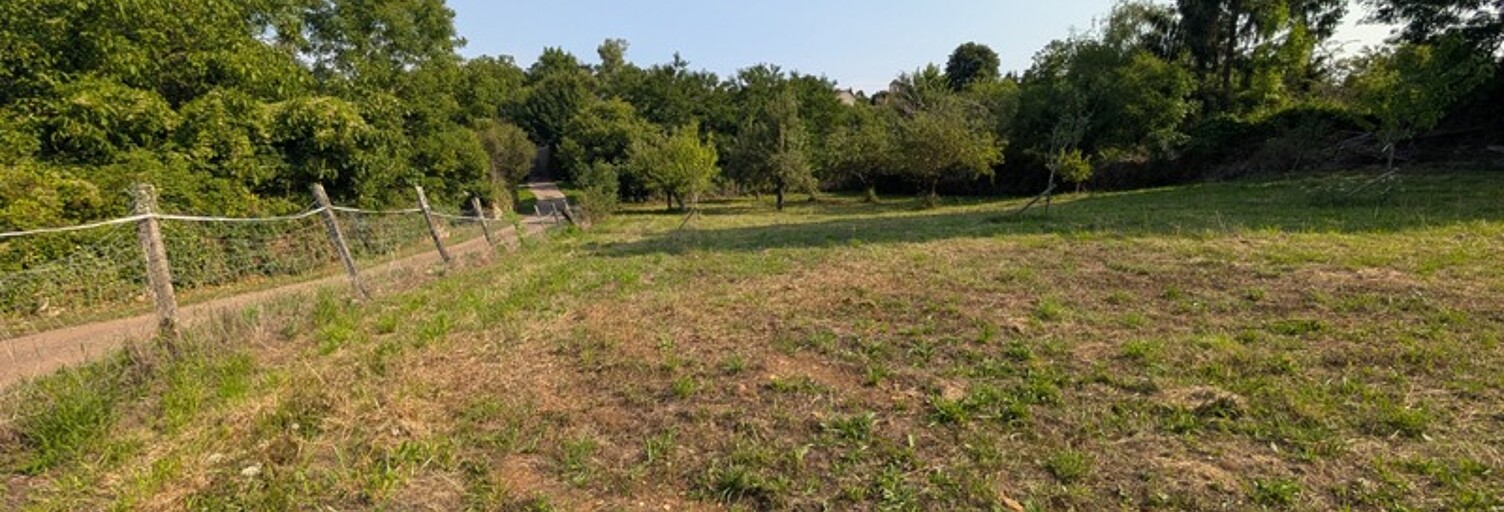 Terrain  1228 m² à vendre à Coutarnoux (89440)