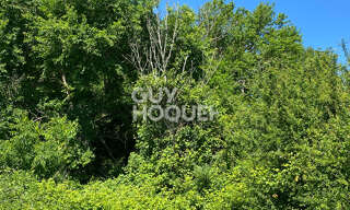 Terrain  33667 m² à vendre à Vacquiers (31340)