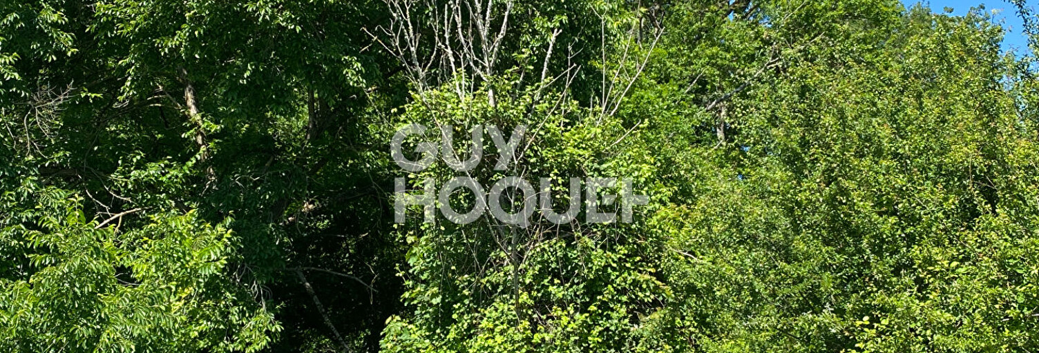 Terrain  33667 m² à vendre à Vacquiers (31340)