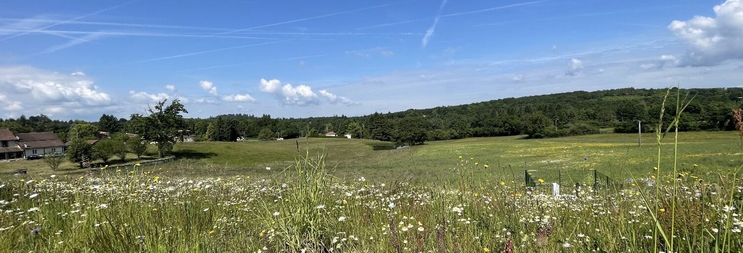 Terrain  2190 m² à vendre à Feytiat (87220)