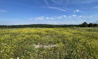 Terrain  1267 m² à vendre à Feytiat (87220)