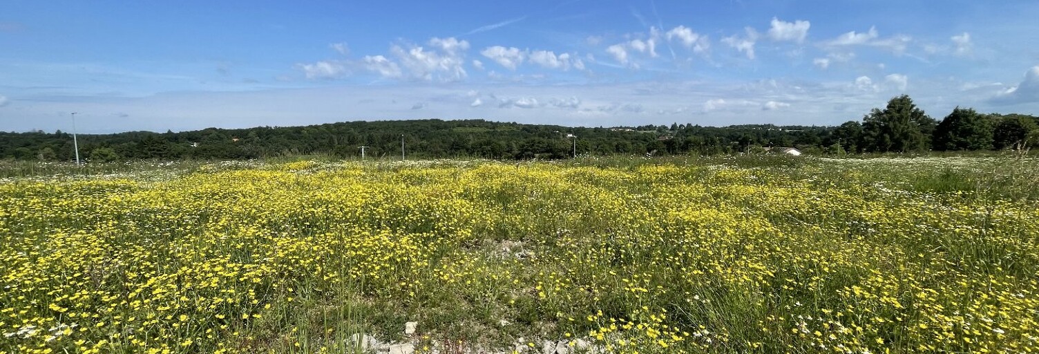 Terrain  1267 m² à vendre à Feytiat (87220)