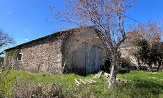 Photo N° 5