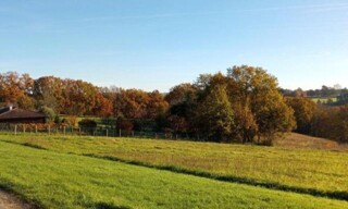 Photo N° 5