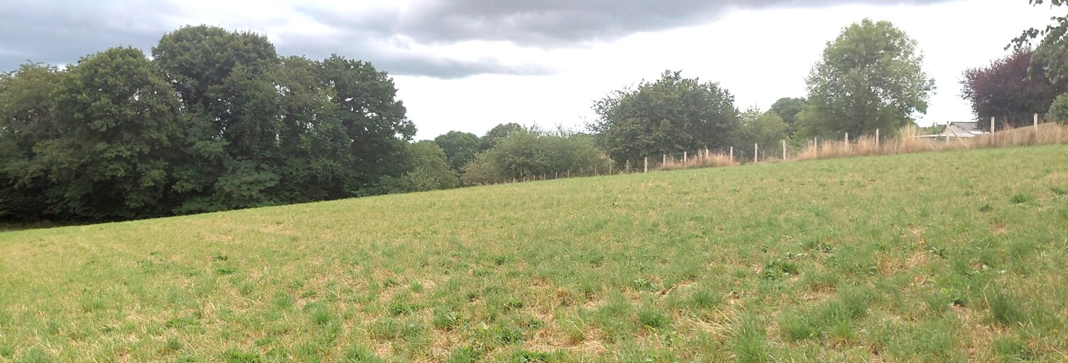 Terrain  9505 m² à vendre à Royères (87400)