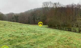Photo N° 4