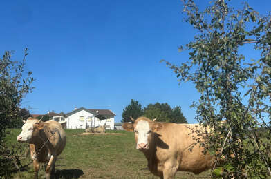 Maison 5 pièces 649500 €