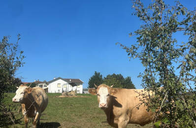 MAISON 170m2 POLLIONNAY — photo du bien