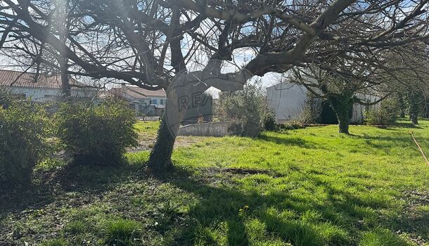 Terrain  à vendre Mathes (Les) 17570