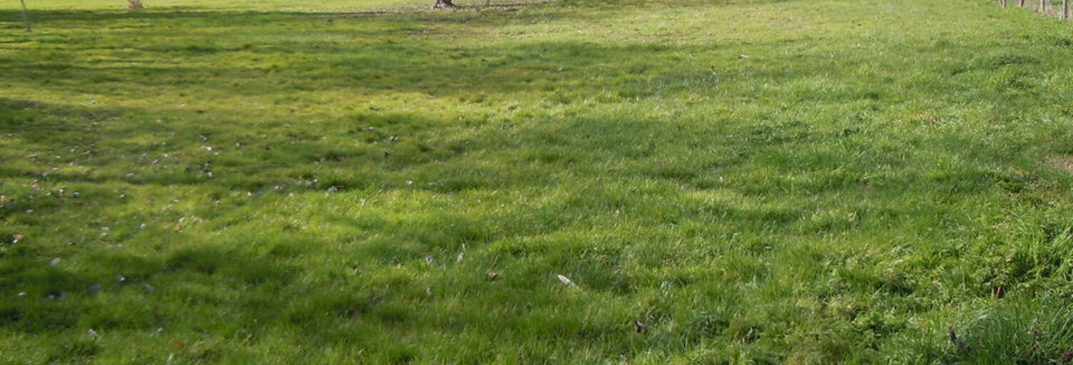 Terrain  849 m² à vendre à Brugheas (03700)