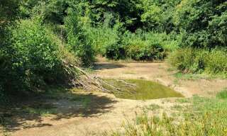 Maison  1230 m² à vendre à Châteaubriant (44110)