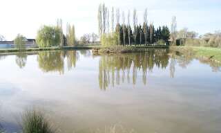 Commerce  18627 m² à vendre à Domérat (03410)