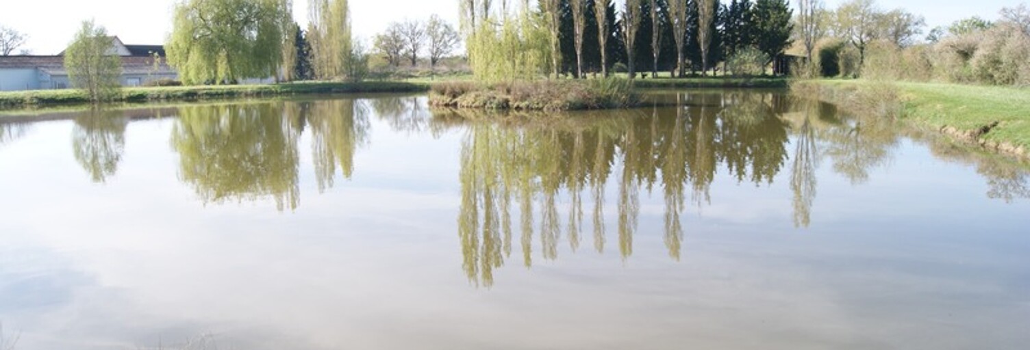 Commerce  18627 m² à vendre à Domérat (03410)