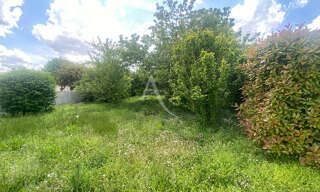 Photo N° 6
