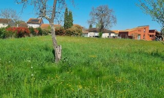 Photo N° 3