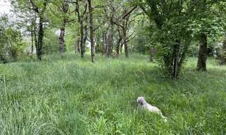 Terrain  1940 m² à vendre à Chauffour-sur-Vell (19500)