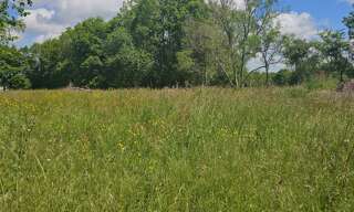 Terrain  5181 m² à vendre à Franquevielle (31210)