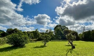 Photo N° 6