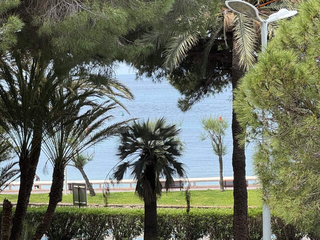 CANNES CROISETTE T3 FACE MER 80M2 TERRASSE SUD 30M2 VUE MER — photo du bien