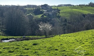 Photo N° 3