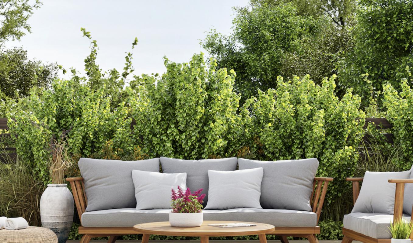 Appartement  T2 à vendre Muret 31600