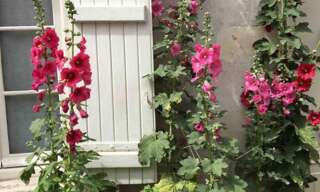 Immeuble  90 m² à vendre à La Rochelle (17000)