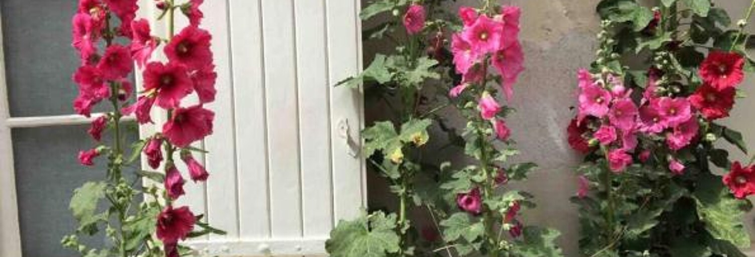 Immeuble  90 m² à vendre à La Rochelle (17000)