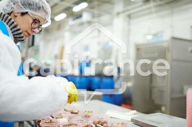 Local industriel 2 pièces 168000 €