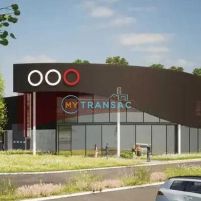 Local industriel  74666 €